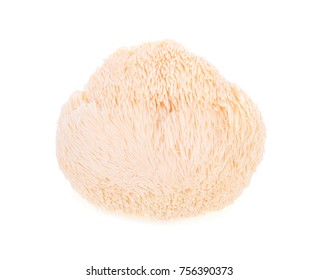 994 Lions Mane Mushrooms Images, Stock Photos & Vectors | Shutterstock