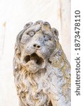 Lion Sculpture of Cathedral of Altamura, Italy. Santa Maria Assunta Church