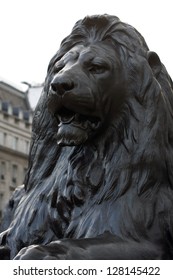 Lion Statue On Trafalgar Square London