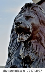 Lion Statue Trafalgar Square London England