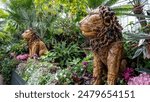 Lion statues amidst lush tropical plants and vibrant flowers inside the Biltmore Conservatory, showcasing an exotic and artistic indoor garden display.