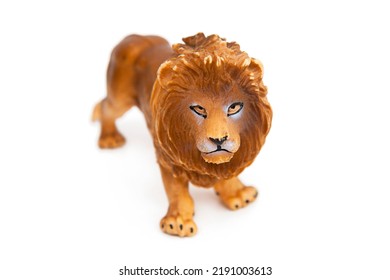 8 856 Lion Blanc Bebe Stock Photos Images Photography Shutterstock