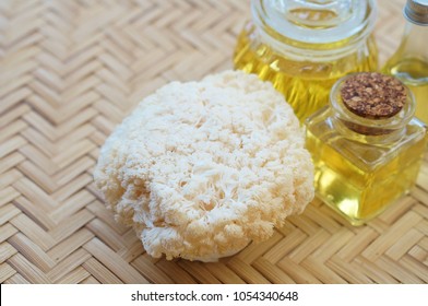 Lion's Mane Mushroom Oil