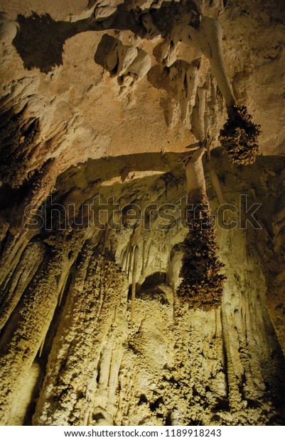 The Lion\'s\
Tail Rock Formation in Carlsbad\
Caverns