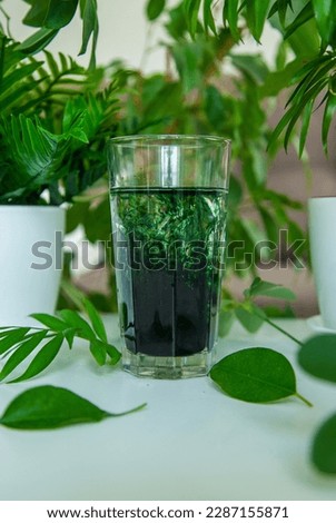 liquid chlorophyll in a glass. Selective focus. Nature.