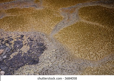 Liquid Cow Manure In A Storage Pit