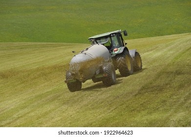 Liquid Manure From Animals As Fertilizer In Farming And Livestock Breeding