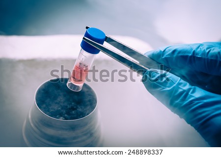A Liquid Nitrogen bank containing suspension of stem cells. Cell culture for the biomedical diagnostic. Foto d'archivio © 