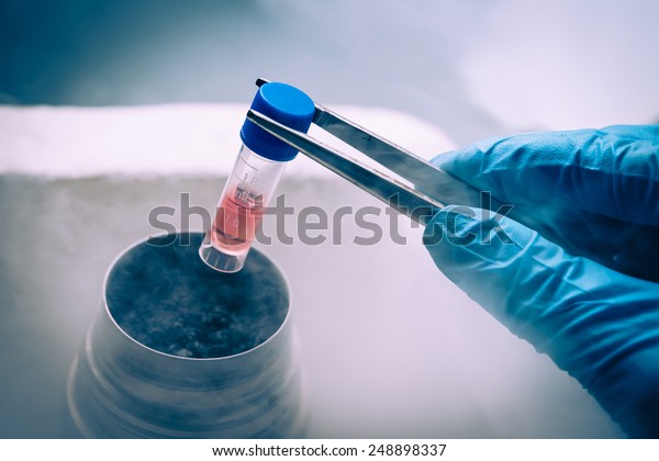 A Liquid Nitrogen\
bank containing suspension of stem cells. Cell culture for the\
biomedical diagnostic.