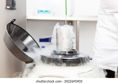 Liquid nitrogen cryogenic tank at life sciences laboratory: Steam of nitrogen created from liquid nitrogen exposed to ambient temperatures
