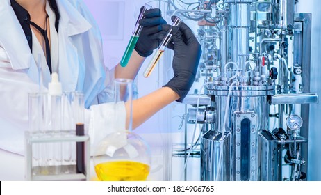 Liquid obtained in the fermentation process. Microbiologist with test tubes in his hands. Chemical laboratory equipment. Laboratory bioreactor for the production of vaccines. Pharmacology.