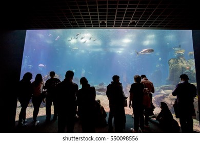 Lisbon Oceanarium