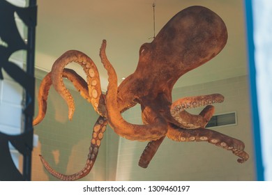 Lisbon, Portugal - 01/03/19: Giant Octopus In The Ceiling Of A Shop In Downtown Chiado, Close To Principe Real, Royal Prince Gardens. Red And Green Background