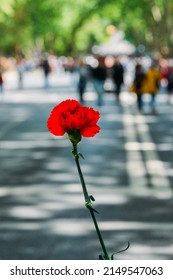 Lisbon, Portugal - April 25, 2022: Crowds Of Portuguese Hold Carnation Flowers At Avenida Da Liberdade In Lisbon To Celebrate The Military Coup That Overthrew The Authoritarian Regime In 1974