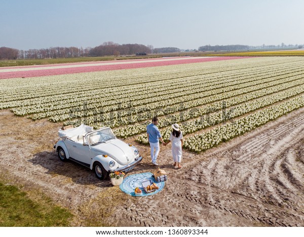 Lisse Netherlands April 2019, A classic, white\
Volkswagen Beetle car on a flower covered meadow in the bulb\
region. Men and w posing by old classic car by the flower fields in\
the bulb region Holland 