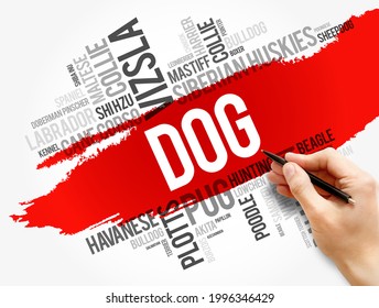 List Of Most Popular Dog Breeds Word Cloud Collage, Animal Concept Background