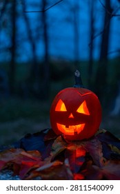 Lit jack o' lantern sitting on autumn leaves in a dark forest at night