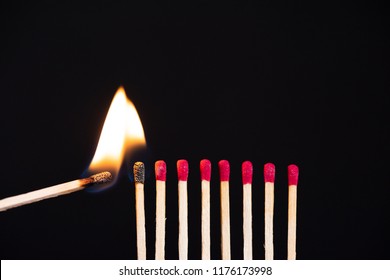 Lit Match Next To A Row Of Unlit Matches. The Passion Of One Ignites New Ideas, Change In Others.