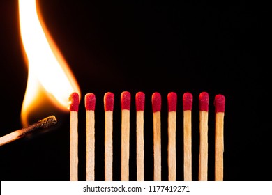 Lit match next to a row of unlit matches. The Passion of One Ignites New Ideas, Change in Others. - Shutterstock ID 1177419271
