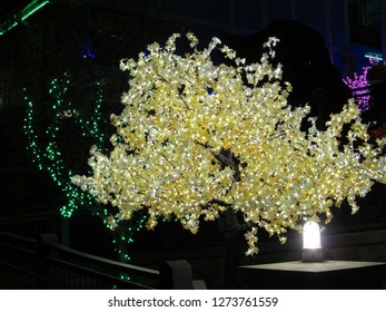 Lit Up Tree 