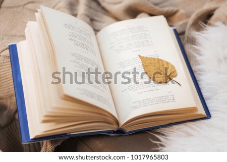 literature, reading and poetry concept - book with autumn leaf on blanket at home