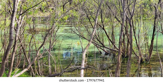 Lithia Springs Park Hillsborough County Florida