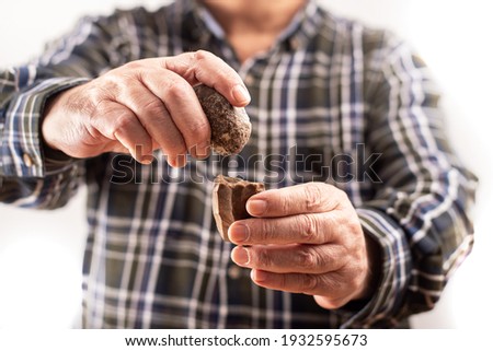 Lithic art. The hands of a man shows the procedure that was used in the stone age to make tools. In one hand a round hammer and in the other the Paleolithic bifacial tool. Percussion. Evolution. Age