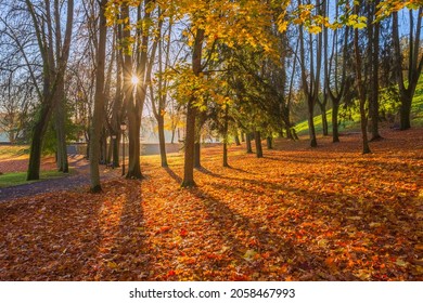 Lithuania Nature At Autumn. Beautiful Lithuanian Landscape In Autumn. Colorful Autumn Landscape In Birstonas Resort