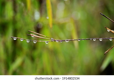a litle drop in winter