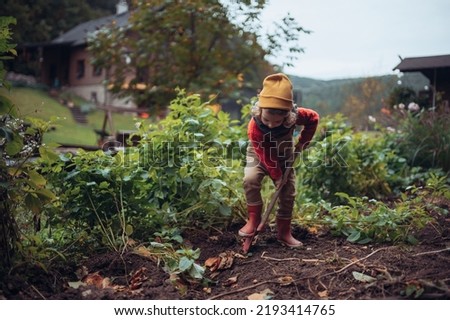 Litlle girl taking care of vegetable garden, spading soil.