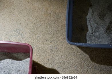 Litter Box Mess