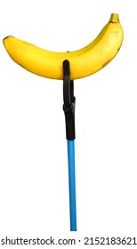 A Litter Picker With Banana Fruit