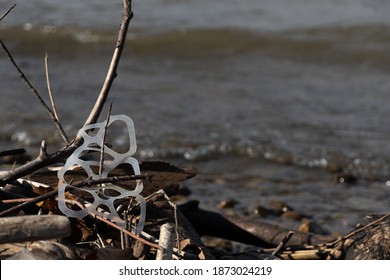 Littered Six Pack Plastic Can Rings Stuck On A Branch Off The Shore