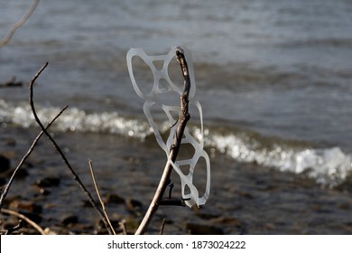 Littered Six Pack Plastic Can Holder Rings Stuck On A Branch Off The Shore