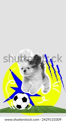 Little active purebred dog in motion, playing with soccer ball over abstract background with colorful elements. Contemporary art. Animal theme, surrealism, tournament concept. Creative poster