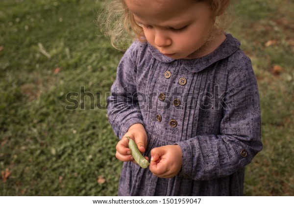 Little Adorable Child Girl Opening Green Stock Photo Edit Now