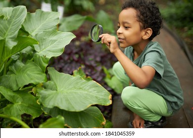 little african american kid boy look at plant using magnifier, want to know about nature everything, learn gardening and plants, flowers - Shutterstock ID 1841045359