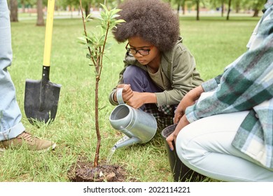 Little African Boy Watering Small Tree After Planting It In Park