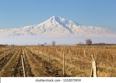 82 Greater little ararat Images, Stock Photos & Vectors | Shutterstock