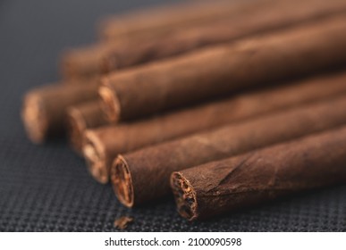 Little Aroma Cigars, Close Up. Tobacco Smoking Concept. Little Depth Of Field, Copy Space