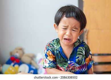 Little Asian 2-3 Year Old Boy Crying In House Facial Face Mood