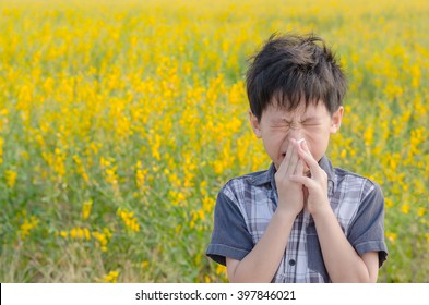 Little Asian Boy Has Allergies From Flower Pollen,boy Has Running Nose In Flower Field And Wipe His Nose By Tissue Paper.