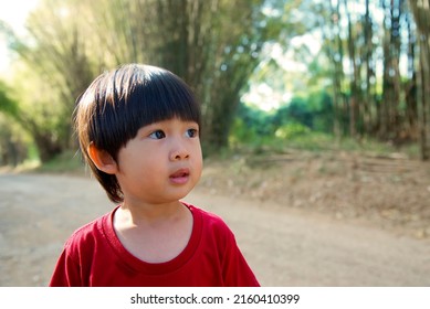 Little Asian Boy Looking Up At Garden Background