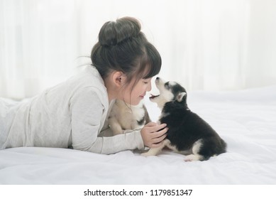 Little asian girl lying with  siberian husky puppy on bed
