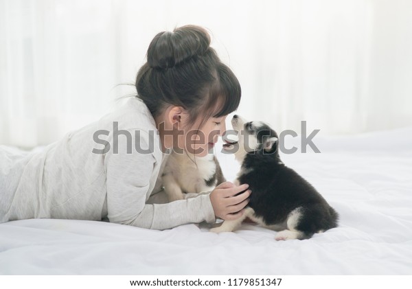 Little Asian Girl Lying Siberian Husky Stock Photo (Edit Now) 1179851347