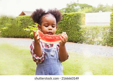 Little Baby Black African American Daughter Kid Stands Eating Seriously Delicious And Refreshing Red Watermelon In Thailand's Summer Outdoor Garden.