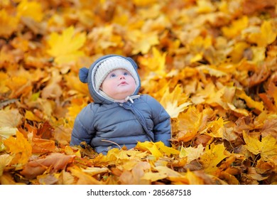 Little Baby Boy In The Autumn Leaves 