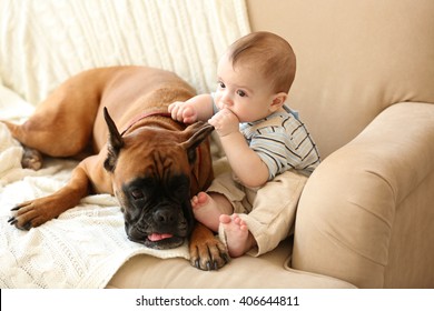 Little Baby Boy With Boxer Dog On A Couch At Home