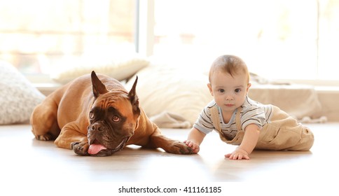 Little Baby Boy With Boxer Dog Lying On The Floor At Home