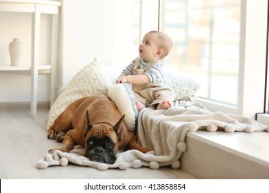 Little Baby Boy With Boxer Dog Resting Near Window At Home